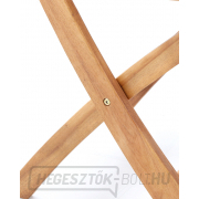 PRINCE VEGA 4 náhled