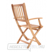 PRINCE VEGA 4 náhled