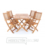 PRINCE VEGA 4 náhled