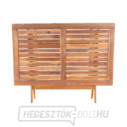 PRINCE VEGA 4 náhled