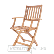 PRINCE VEGA 4 náhled