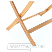 PRINCE VEGA 4 náhled