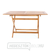 PRINCE VEGA 4 náhled