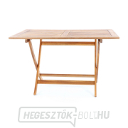 PRINCE VEGA 4 náhled