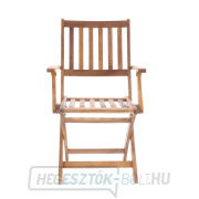 PRINCE VEGA 4 náhled