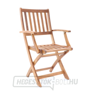 PRINCE VEGA 4 náhled