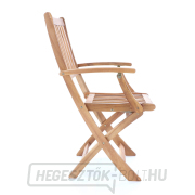 PRINCE VEGA 4 náhled