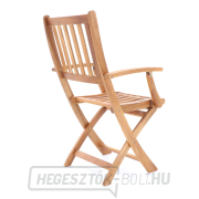 PRINCE VEGA 4 náhled