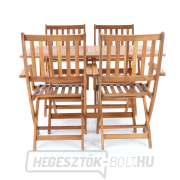 PRINCE VEGA 4 náhled