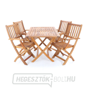 PRINCE VEGA 4 náhled