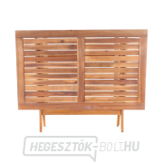 PRINCE VEGA 4 náhled