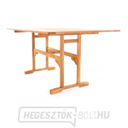 VEGA KIRÁLYNŐ 6 náhled