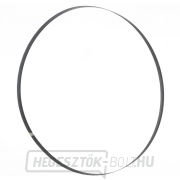 Szalagfűrészlap a BBS550-hez (száraz fához) Szalagfűrészlap a BBS550-hez (száraz fához) gallery main image
