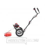 VeGA Benzinmotoros bozótvágó WBC 520 náhled