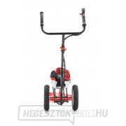 VeGA Benzinmotoros bozótvágó WBC 520 náhled