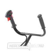 VeGA Benzinmotoros bozótvágó WBC 520 náhled