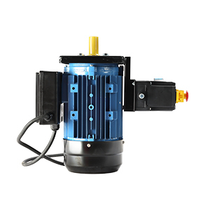 Elektromos ágaprító WEIBANG WB SH 40003 E Előnézet 