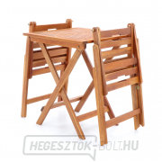 VEGAS ERKÉLY SZETT náhled