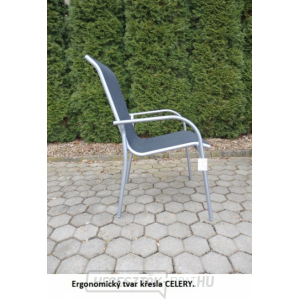 VeGAS CELERY kerti székek gallery main image