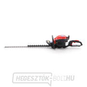 VeGA benzines sövénynyíró HT34750 náhled