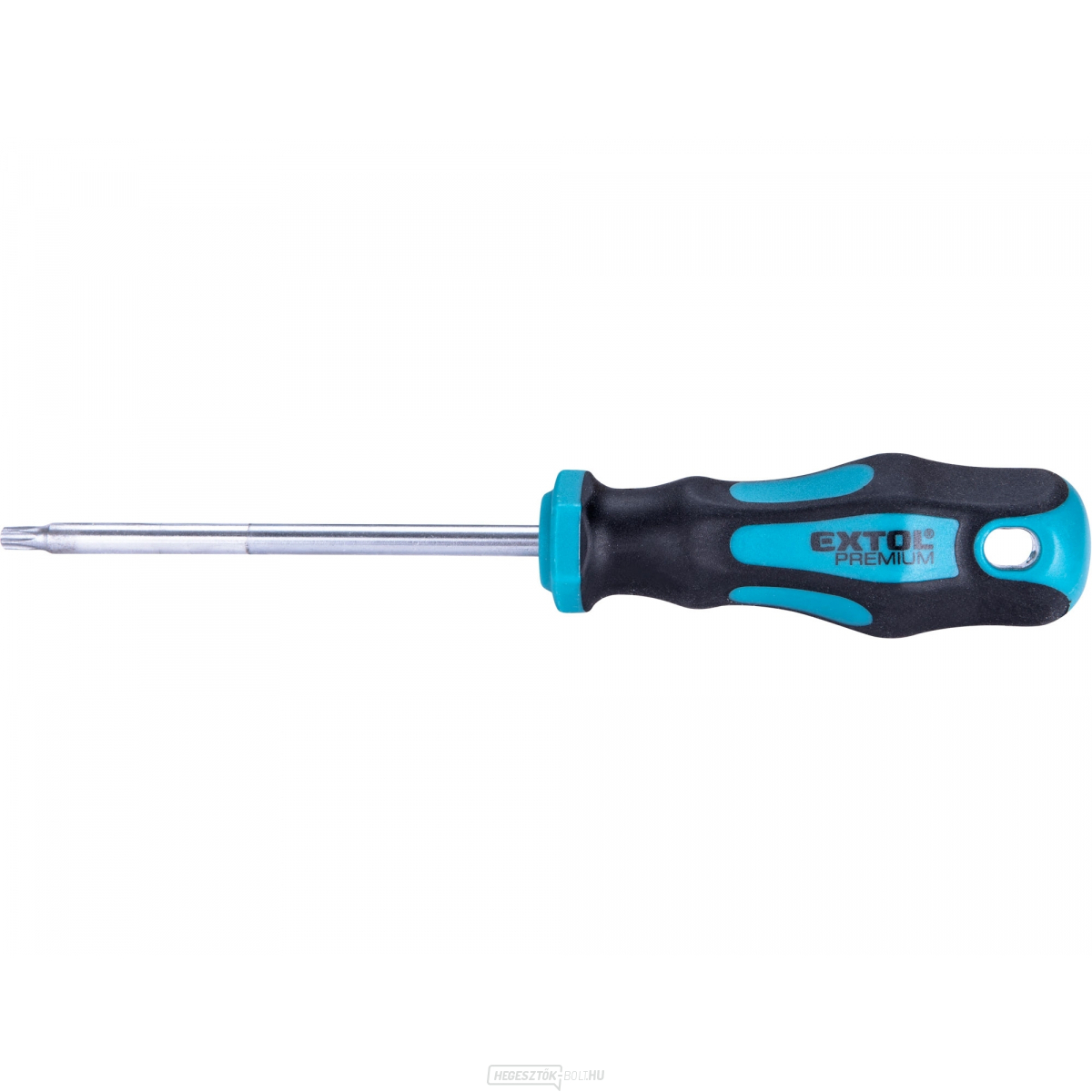 Csavarhúzó TORX, TTa25x100mm, CrV