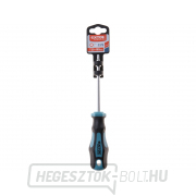 Csavarhúzó TORX, TTa25x100mm, CrV Előnézet 
