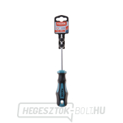 Csavarhúzó TORX, TTa25x100mm, CrV Előnézet 