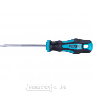 Csavarhúzó TORX, TTa25x100mm, CrV