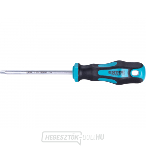 Csavarhúzó TORX, TTa27x100mm, CrV Csavarhúzó TORX, TTa27x100mm, CrV gallery main image