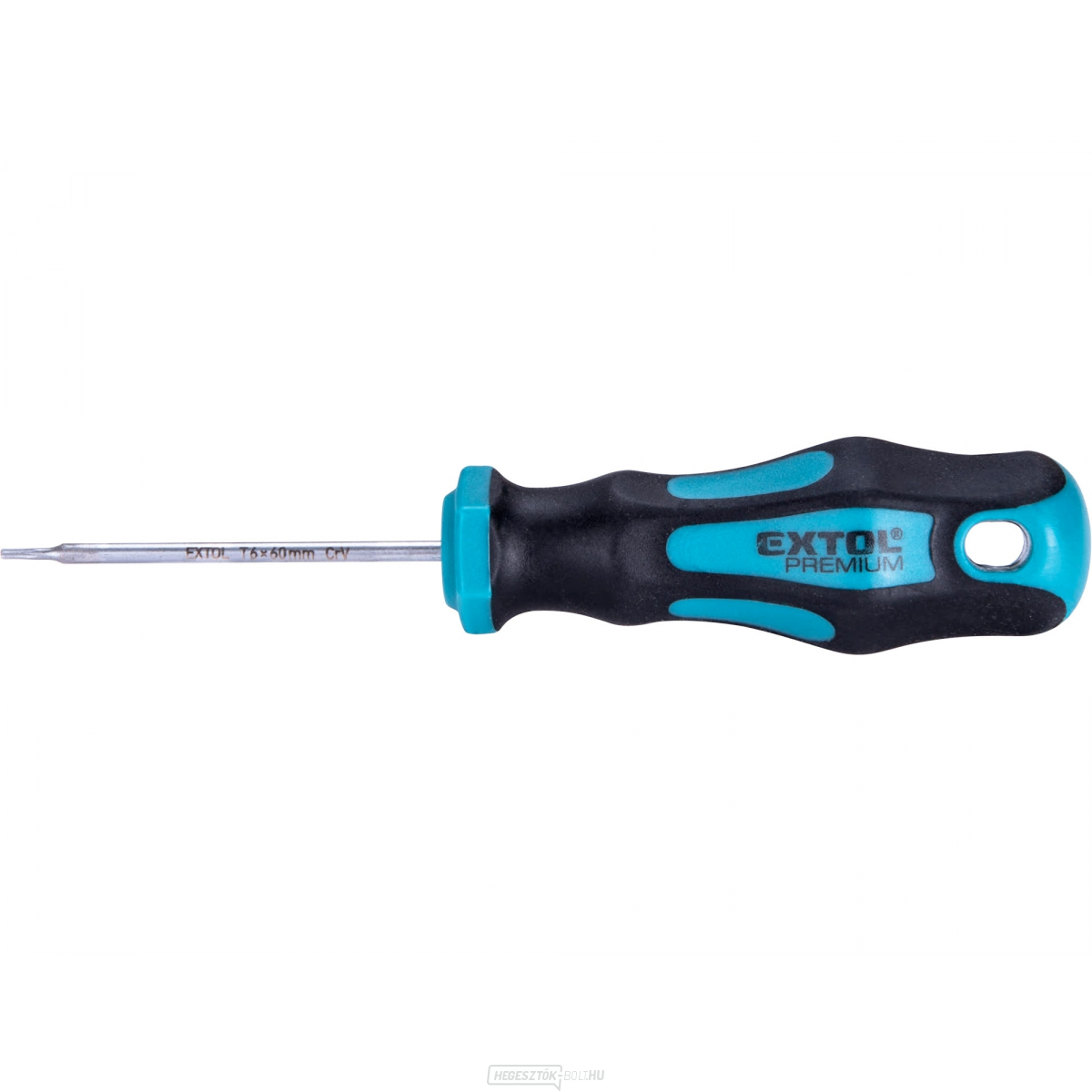 Csavarhúzó TORX, TTa30x100mm, CrV