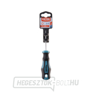 Csavarhúzó TORX, TTa30x100mm, CrV Előnézet 