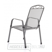 MFG ZINGST 4 PLUS náhled