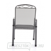 MFG ZINGST 4 PLUS náhled