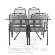 MFG ZINGST 4 PLUS náhled