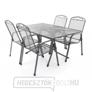 MFG ZINGST 4 PLUS náhled