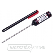Digitális hőmérő WT-1 Digitális hőmérő WT-1 gallery main image