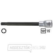 HAZET 2579-9 motorok hengerfejcsavarjainak rögzítésére szolgáló dugókulcs HAZET 2579-9 motorok hengerfejcsavarjainak rögzítésére szolgáló dugókulcs gallery main image