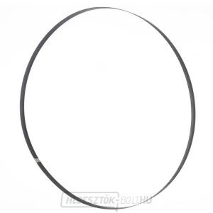 Szalagfűrészlap a BBS550-hez (nedves fához) Szalagfűrészlap a BBS550-hez (nedves fához) gallery main image