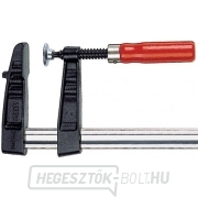 Csavaros bilincs Bessey TG10 - 100x50mm Csavaros bilincs Bessey TG10 - 100x50mm gallery main image
