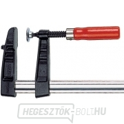 Bessey TG20 bilincs - 200x100mm Bessey TG20 bilincs - 200x100mm gallery main image