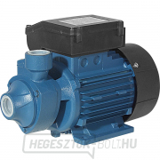 Vízszivattyú Elpumps PP 60 550 W - centrifugálszivattyú Vízszivattyú Elpumps PP 60 550 W - centrifugálszivattyú gallery main image