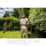 Riwall PRO RAHT 5220 sövénynyíró szett akkumulátoros motorral 2Ah akkumulátor töltővel 20 V náhled