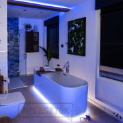 Solight LED fényszalag teszterrel, 5m, 12V-os adapterrel, 4,8W/m, IP20, hideg fehér Előnézet 