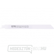 Fűrészlapok farok 3db Fűrészlapok farok 3db gallery main image