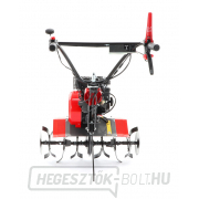 Kultivátor PUBERT ECOMAX 55P C2 EG náhled