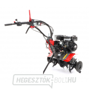 Kultivátor PUBERT ECOMAX 55P C2 EG náhled