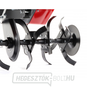 Kultivátor PUBERT ECOMAX 55P C2 EG náhled