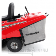 Weibang WB 81EC-B 31Ah AKU lovas Weibang WB 81EC-B 31Ah AKU lovas náhled