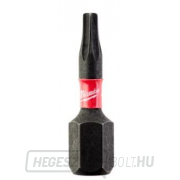 Milwaukee csavarhúzóhegyek SHW TX10 25mm - 2db gallery main image