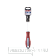 Phillips csavarhúzó, PH 1x100mm, S2 Előnézet 